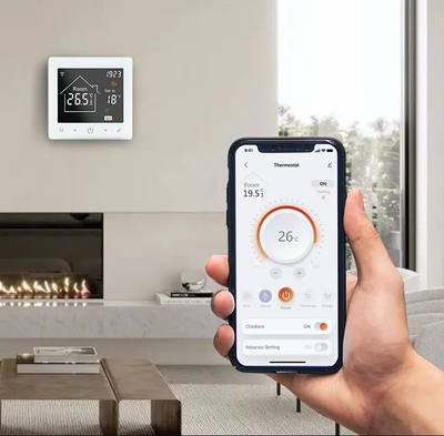 Ecoreg M2 Wi-Fi EcoregM2wifi фото